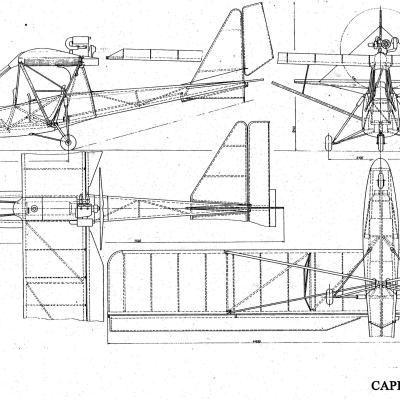 Caprice20 Drw